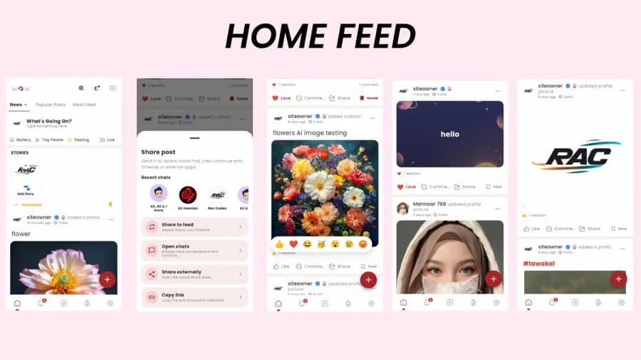 PulseFeed: Social Discovery App